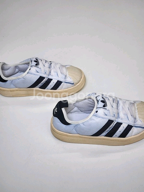 ADIDAS 퍼피렛 슈퍼스타 클라우드 화이트 235--1