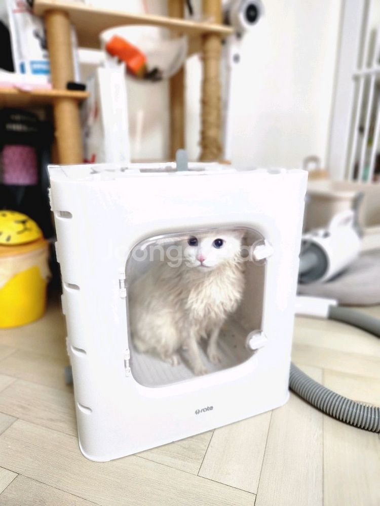 펫드라이룸 강아지 고양이 펫드라이기--2