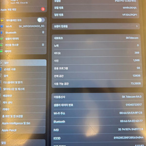 아이패드프로 12.9(5세대)