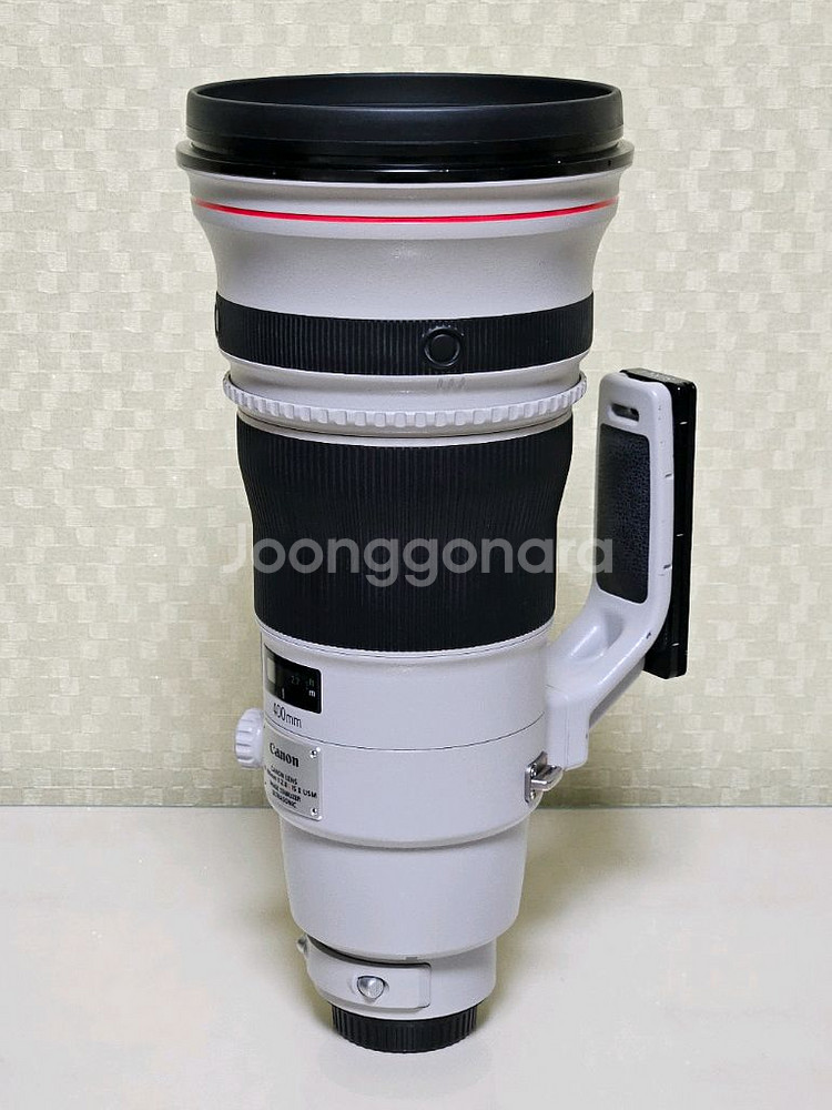 캐논 EF 400mm F2.8 L IS II USM--3