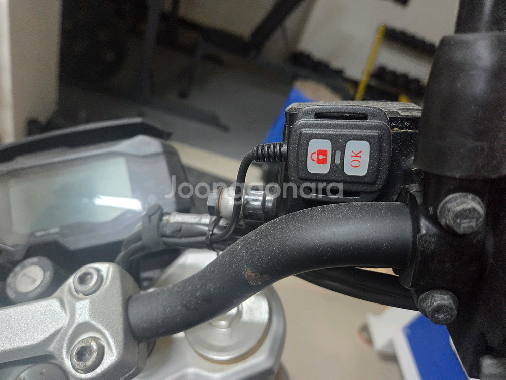 BMW g310r--3