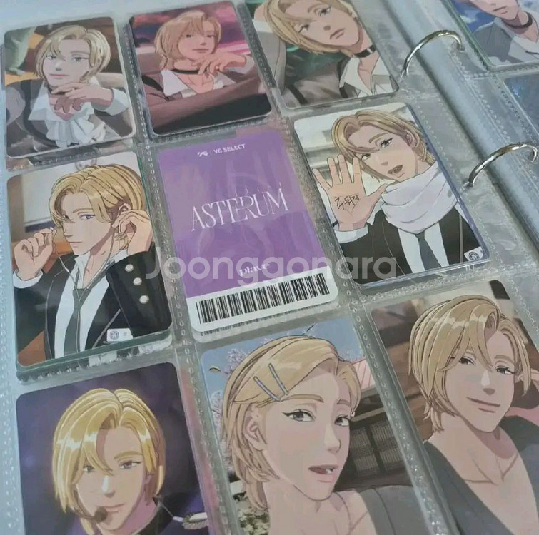 플레이브 포카 일괄--3