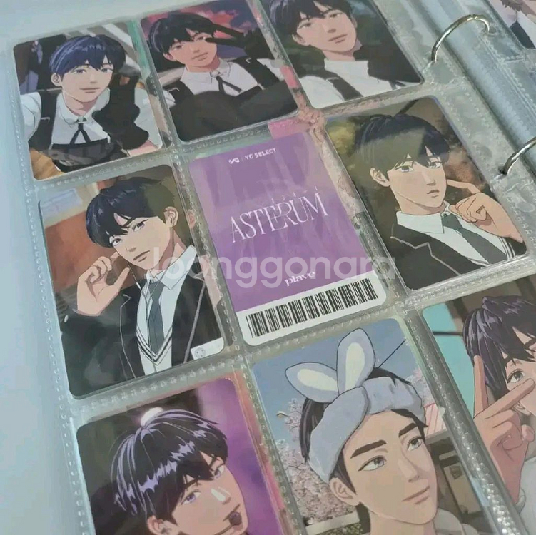플레이브 포카 일괄--1