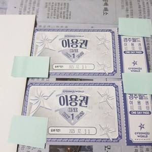 경주월드 자유이용권