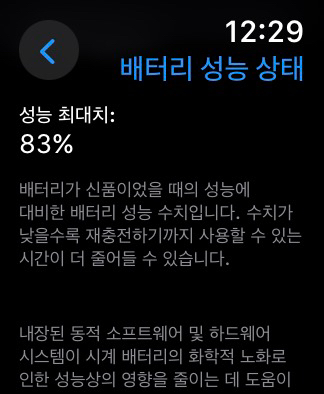 애플워치 se 40mm 스페이스그레이 밀레니즈루프--1