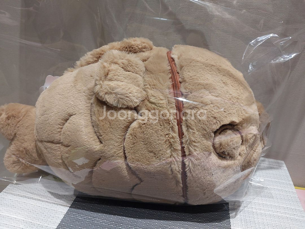 정품)까꿍붕어빵고양이동물인형쿠션중형미개봉봉제인형 완구--8
