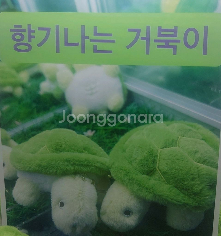 봉제정품)예쁜 향기나는 거북이 키링 미개봉--0