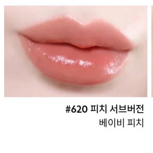 입생로랑 피치 서브버전 잉크 바이닐 틴트