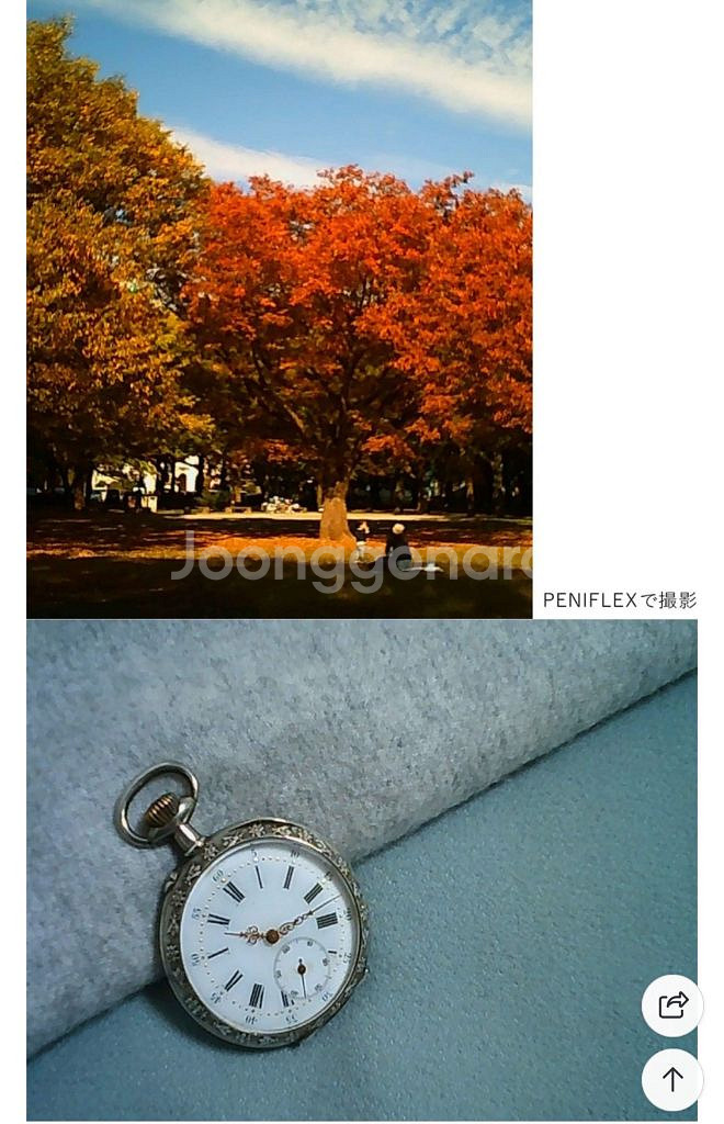켄코 리플렉스풍 토이 카메라 Pieniflex M--6