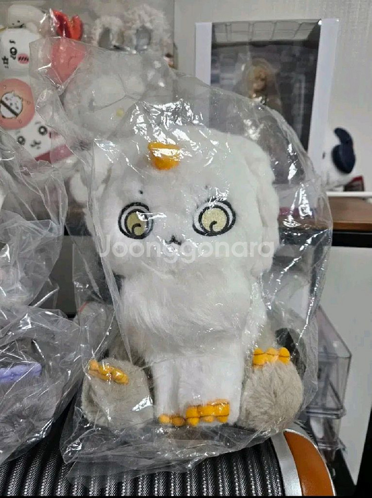 치이카와 아노코 누이 인형--0