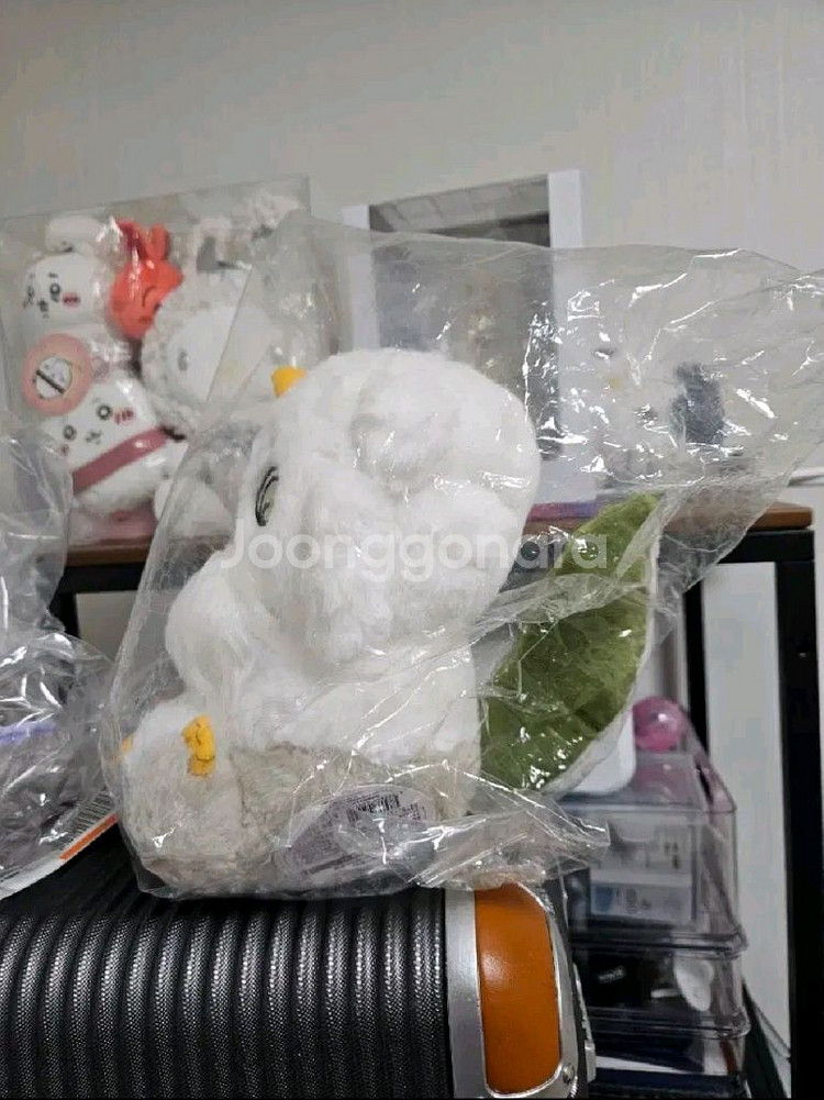 치이카와 아노코 누이 인형--1
