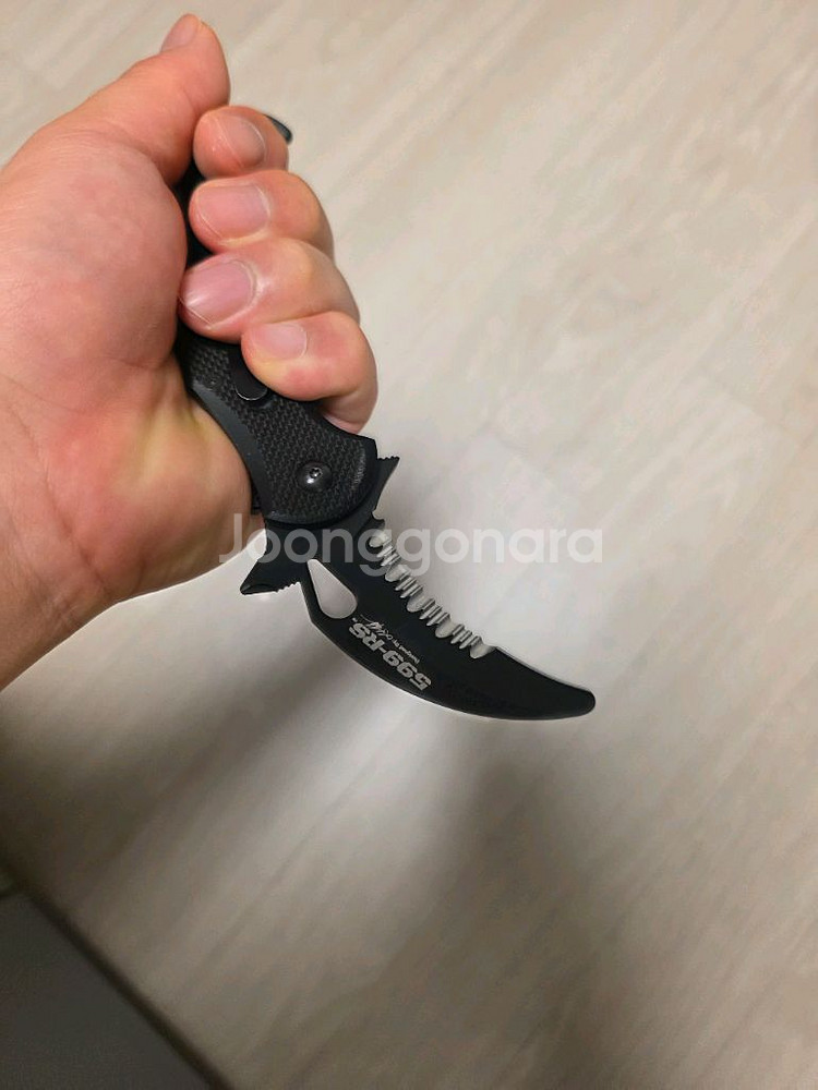 폭스 카람빗 599 rs--4