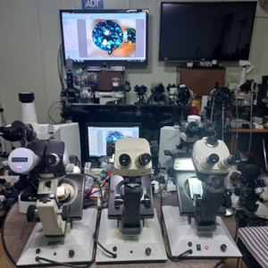 GIA.GEM 다이아몬드 보석현미경 이미지