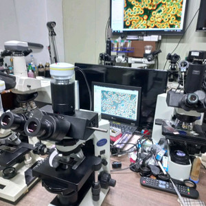 올림프스 CX41 3안CCD 위상차현미경 싸게판매합니다 이미지