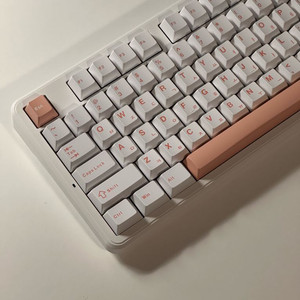 독거미 F87 유선 + LEOBOG 황축V3