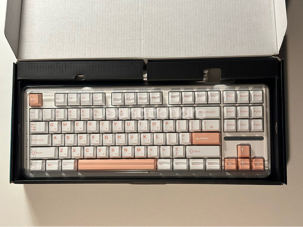 독거미 F87 유선 + LEOBOG 황축V3--8
