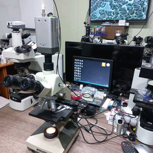 3안CCD 현미경 싸게판매합니다 이미지