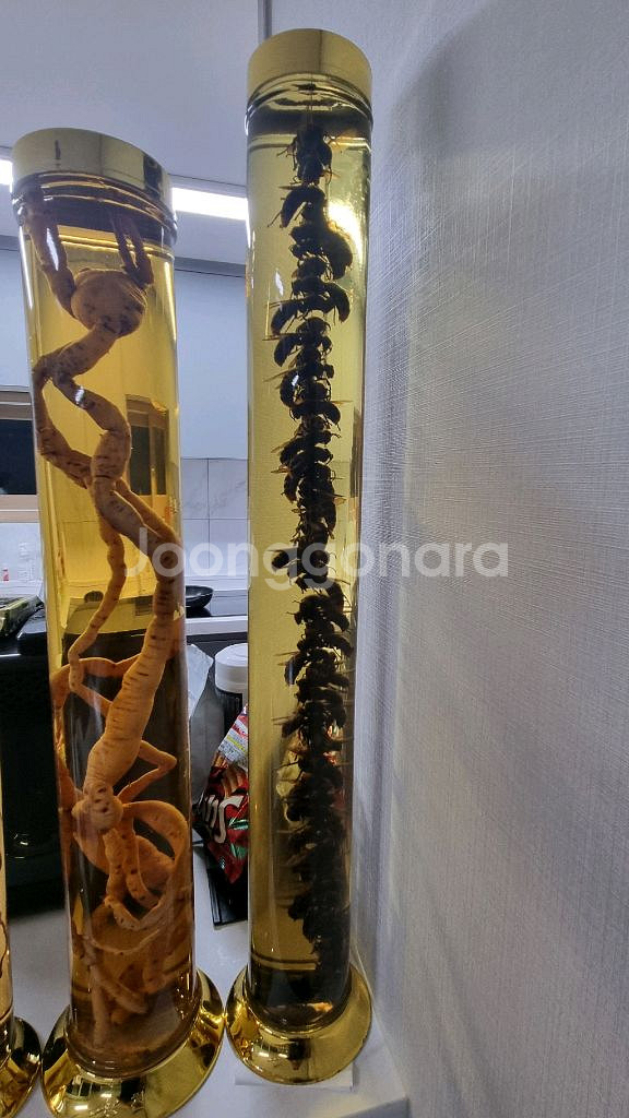 장수말벌주(급처)--0
