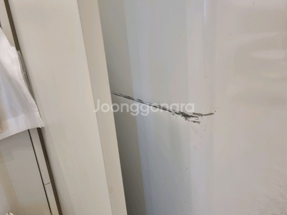 미디어 다용도 냉동고 200L--1