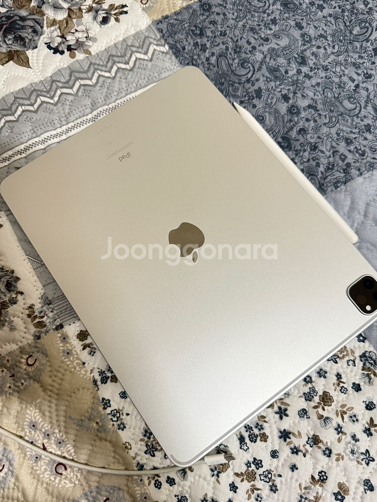 Apple 아이패드 프로 12.9 5세대 실버 256G--1