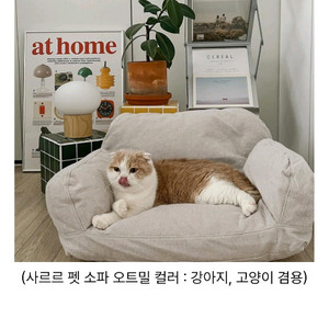사르르 펫쇼파 오트밀 새상품