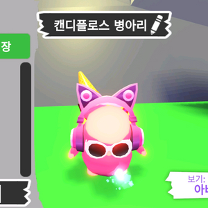 입양하세요 펫 메가네온 캔디플로스 병아리 판매합니다