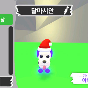 입양하세요 펫 메가네온 달마시안(메산강)판매합니다