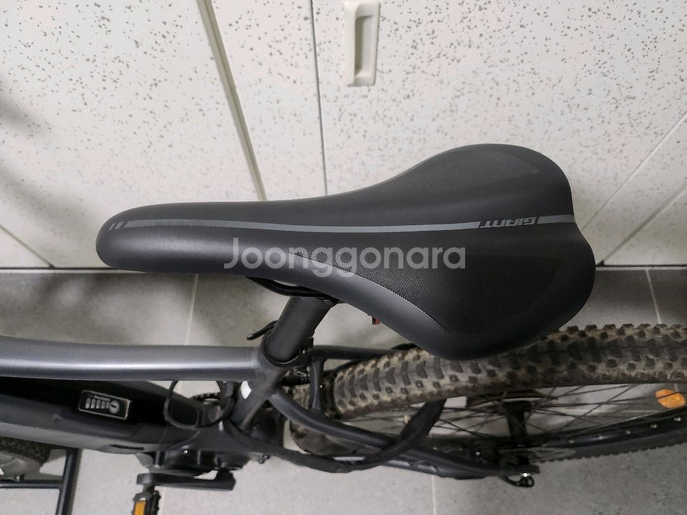 자이언트 타론E 전기자전거, MTB--2