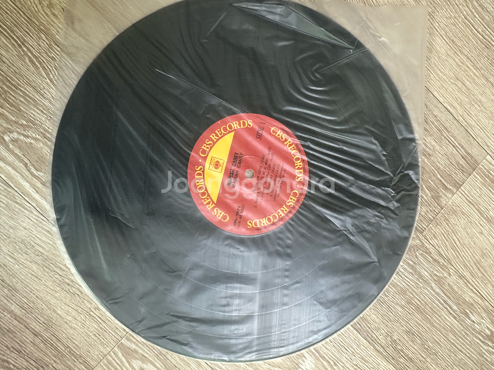 팝의 디바, 머라이어 캐리 데뷔 앨범 LP 팝니다--5