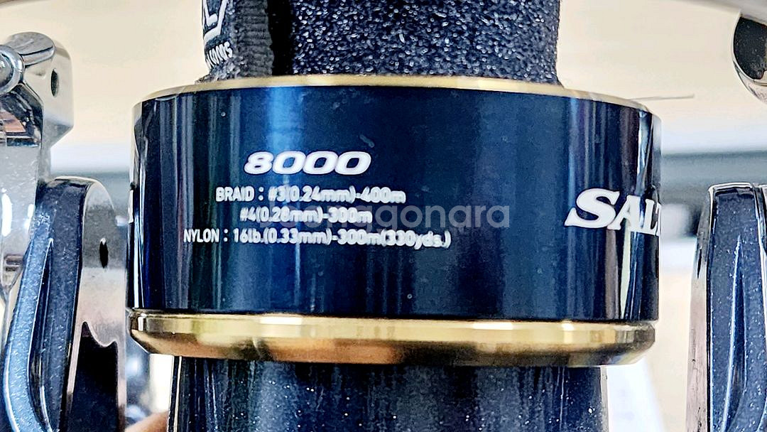 다이와 20 솔티가 8000-H--5