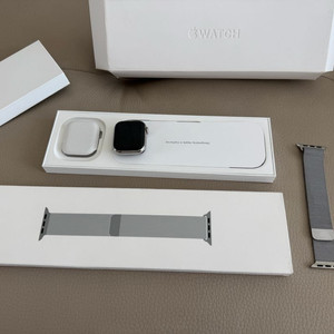 애플워치9 스테인리스 실버 41mm + 애케플