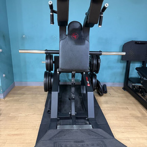 굿휘트니스 브이스쿼트