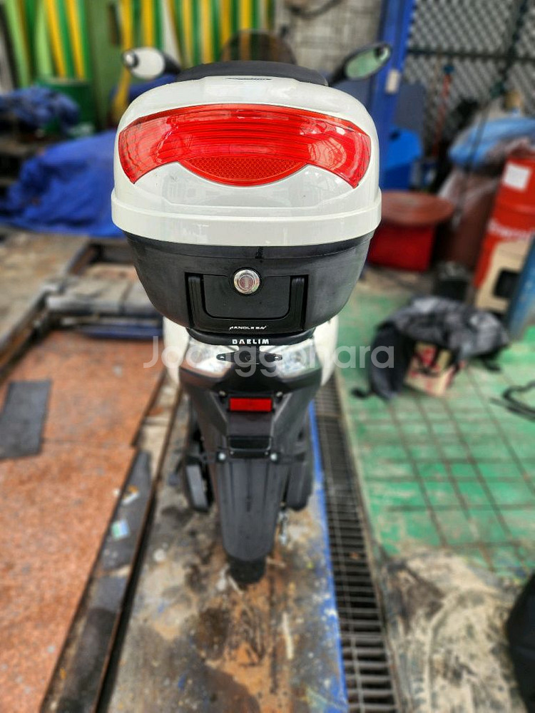 대림전기오토바이재피--2