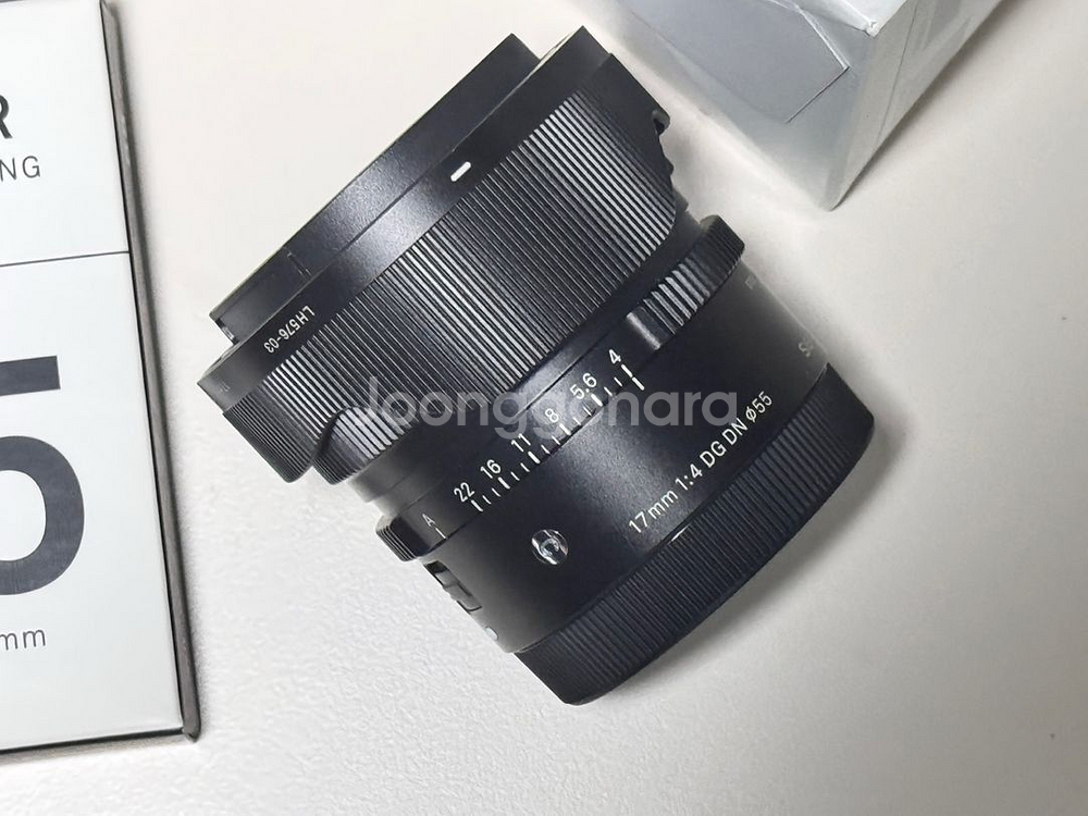 시그마 17mm F4 DG DN Contemporary--0