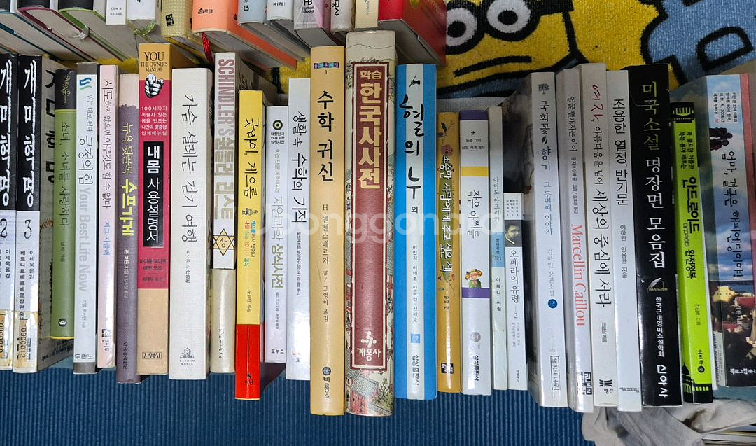 중고도서K-역사서,개발서,여행서,소설 등(가격 다름)--1