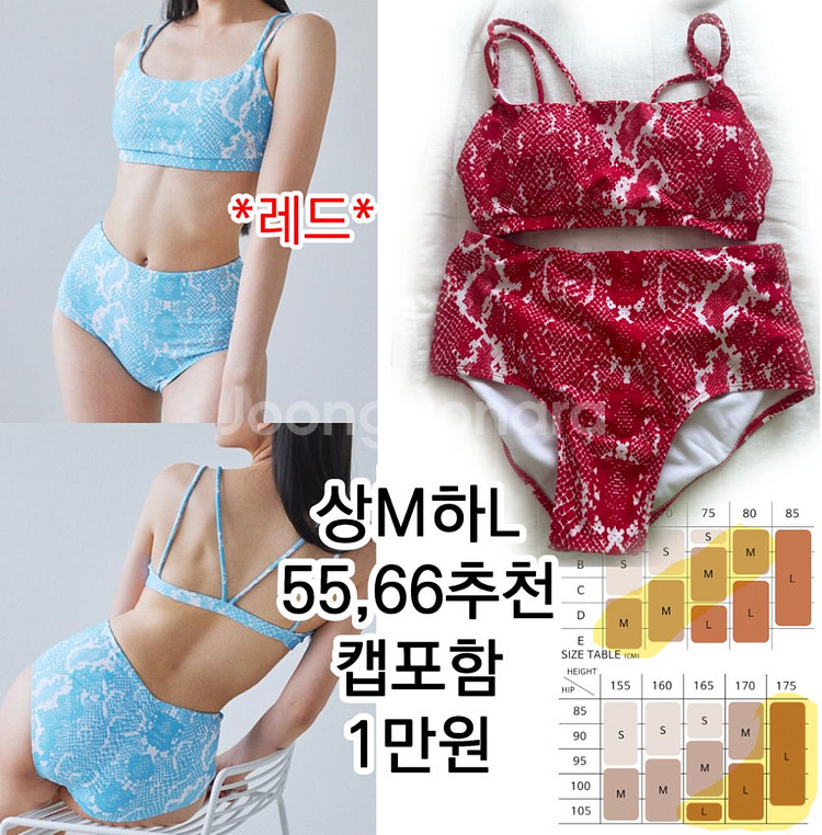 미뉴엣 폴웨어 모노키니 위M하L--1