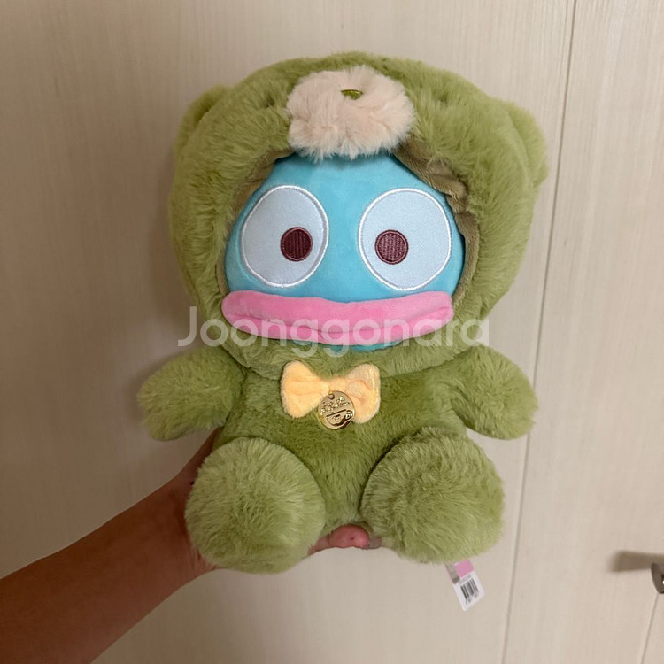 한교동 정품 곰 곰돌이 중형 인형--0