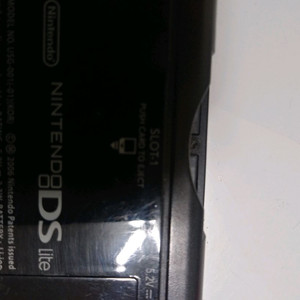 닌텐도 Ds