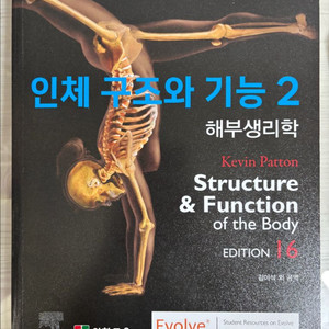 인체구조와기능2