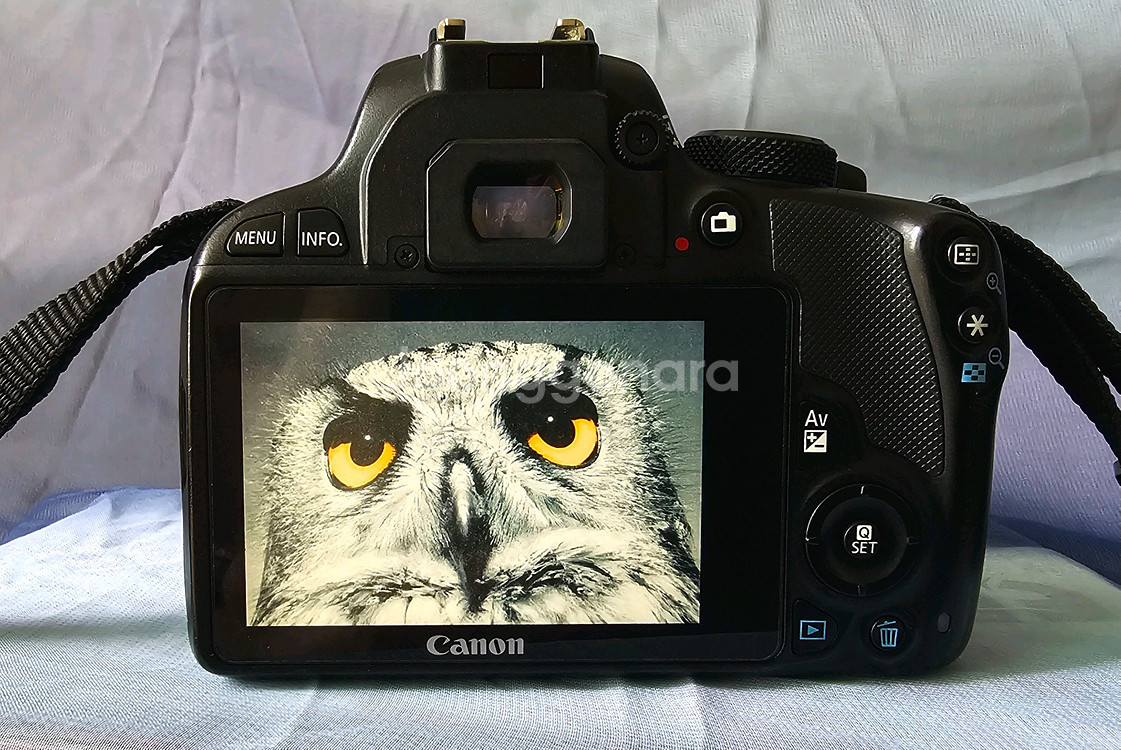캐논 EOS 100D DSLR 카메라 + 18~55렌즈--0