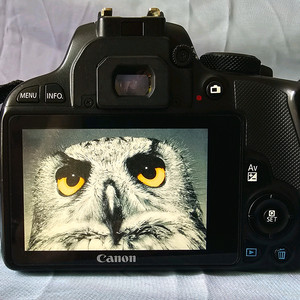 캐논 EOS 100D DSLR 카메라 + 18~55렌즈