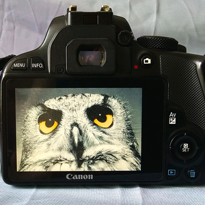 캐논 EOS 100D DSLR 카메라 + 18~55렌즈