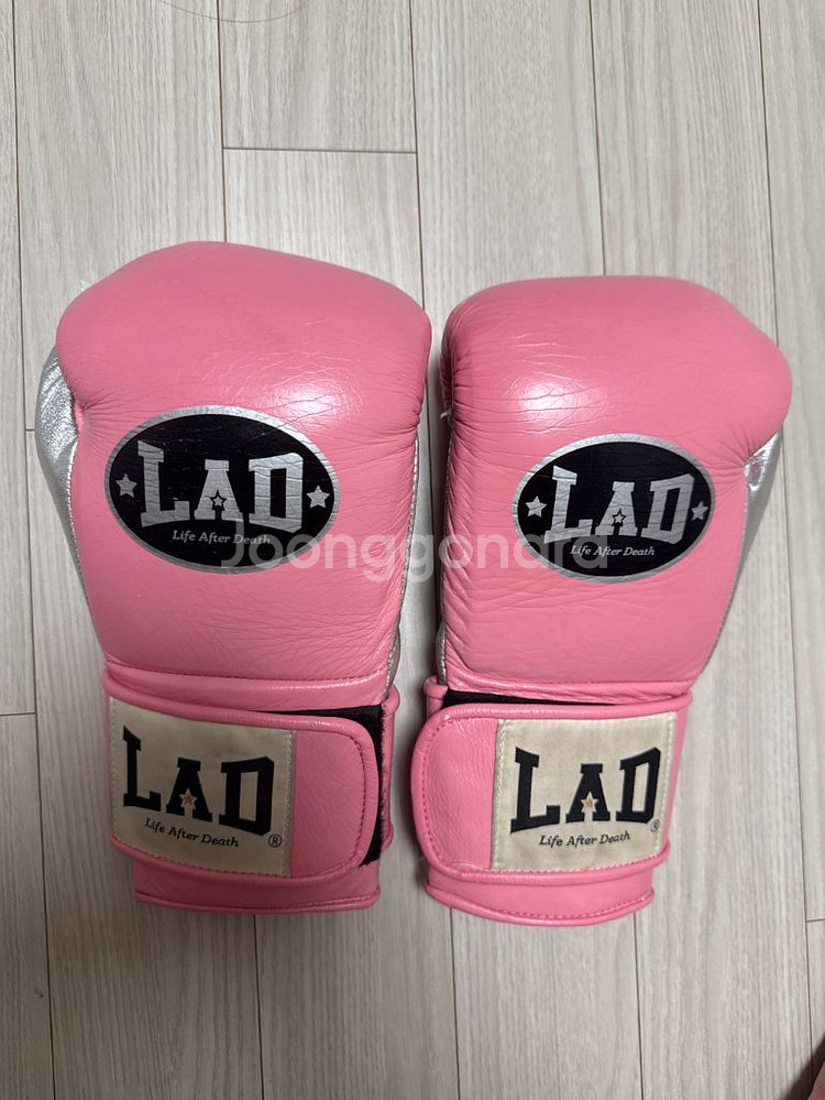 Lad라드 복싱 글러브 10온즈--0