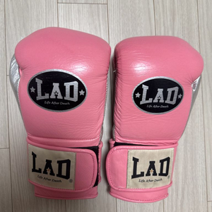 Lad라드 복싱 글러브 10온즈
