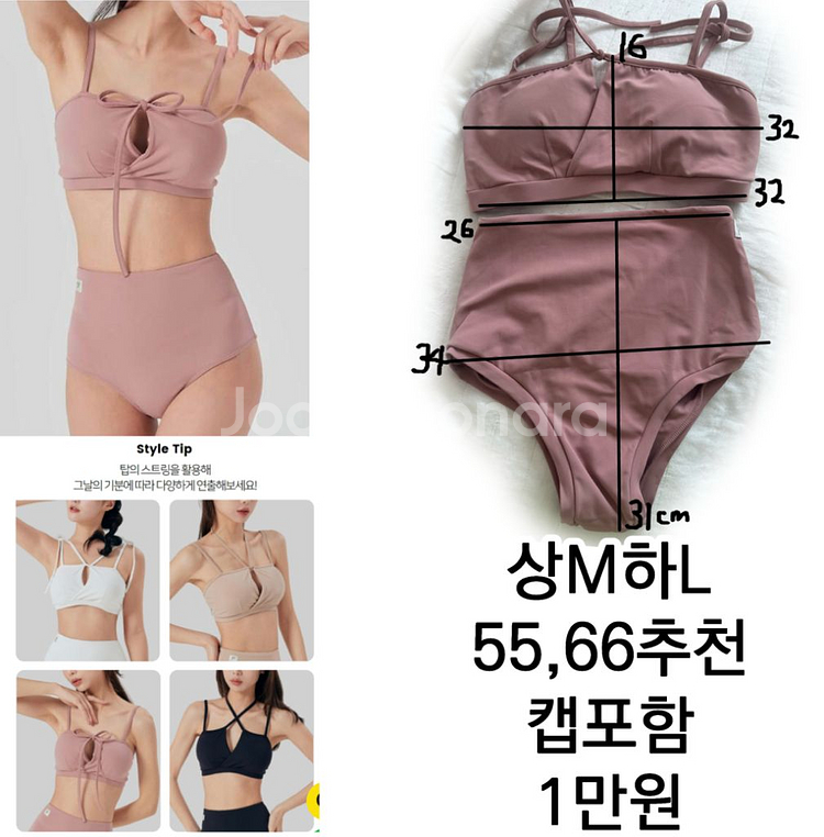 포레올라 폴웨어 세트 M--0