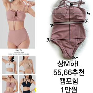 포레올라 폴웨어 세트 M