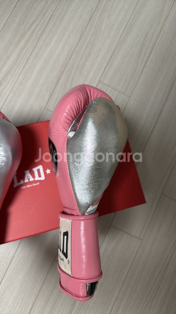 Lad라드 복싱 글러브 10온즈--2