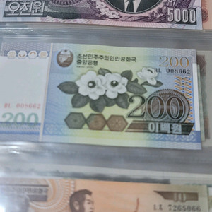 세계 화폐 컬렉션 새 신권 60장