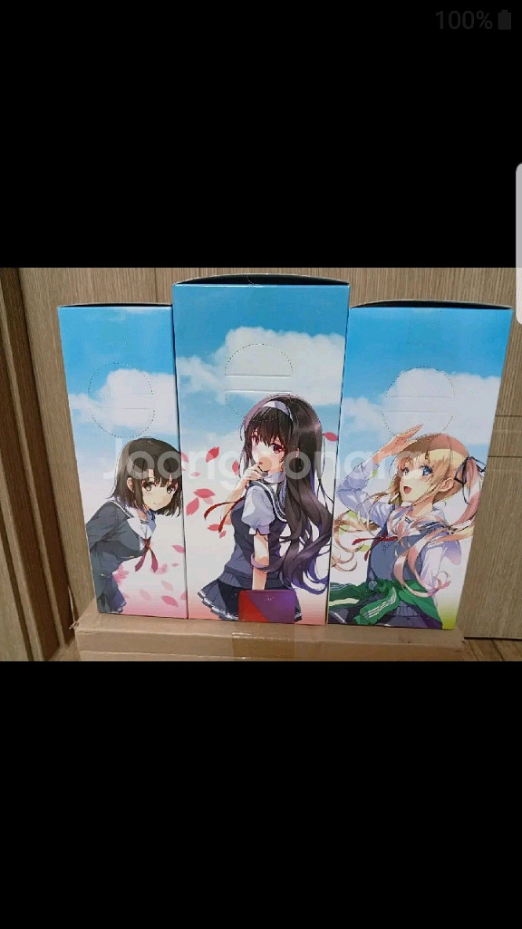 세가 사에카노 3종세트 택포--1