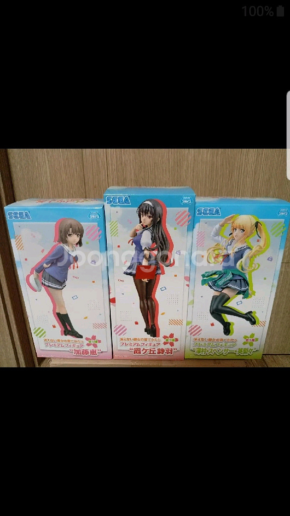 세가 사에카노 3종세트 택포--0